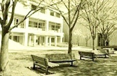 学校訪問支援(アウトリーチ) 学校訪問支援(アウトリーチ)