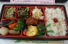 「うんめぇもん市」のお弁当 「うんめぇもん市」のお弁当