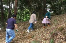 行ってきました、たけのこ掘り! 行ってきました、たけのこ掘り!